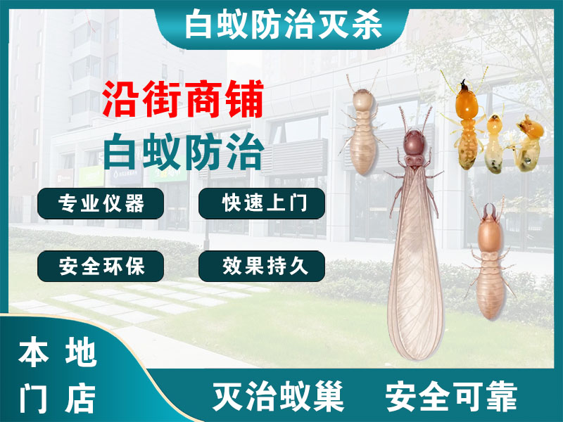 安吉县沿街商铺白蚁防治