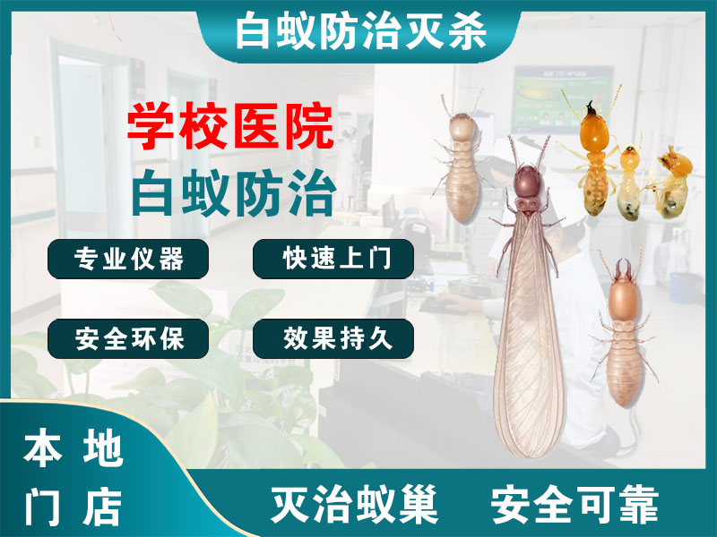 安吉县学校医院白蚁防治