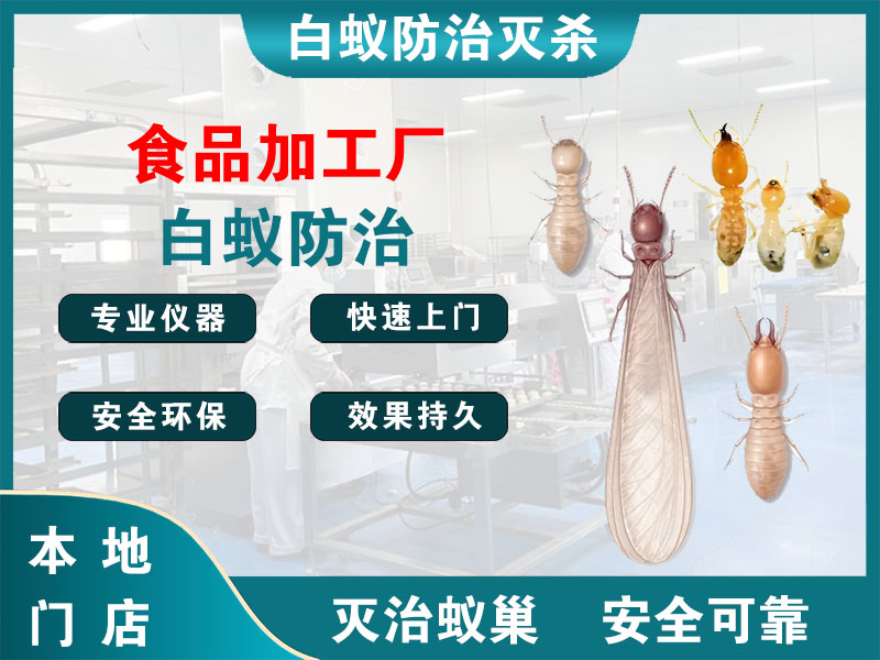 安吉县食品加工厂白蚁防治