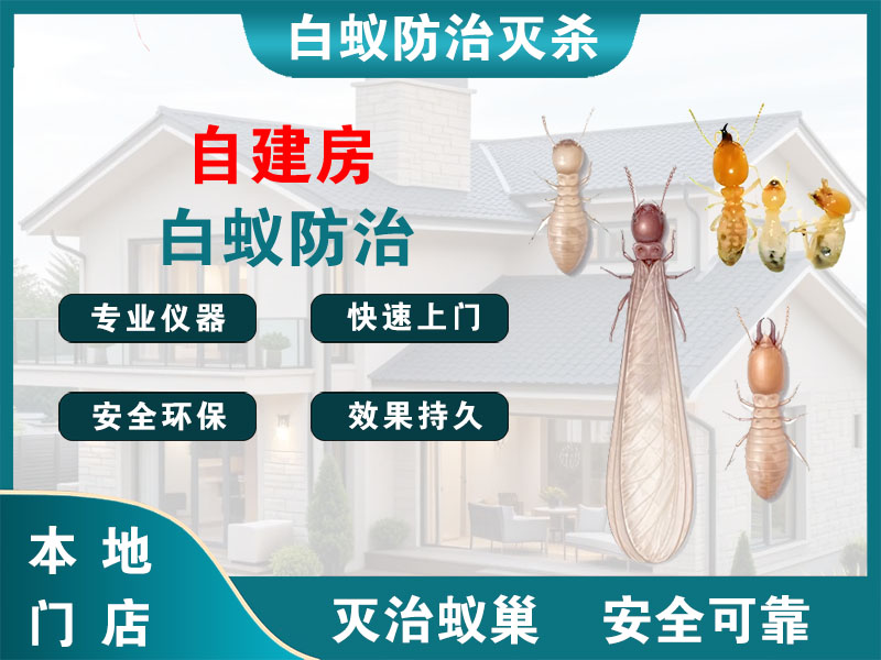 安吉县自建房白蚁防治