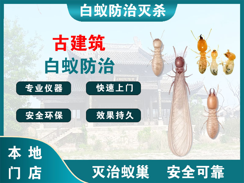 安吉县古建筑白蚁防治