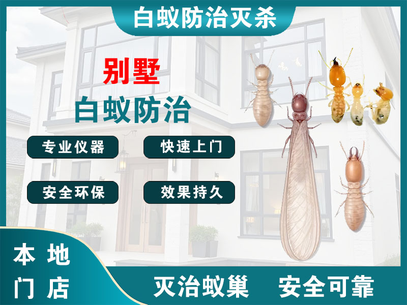 安吉县别墅白蚁防治