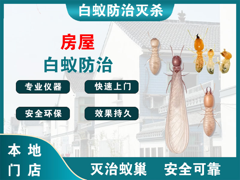 安吉县房屋白蚁防治